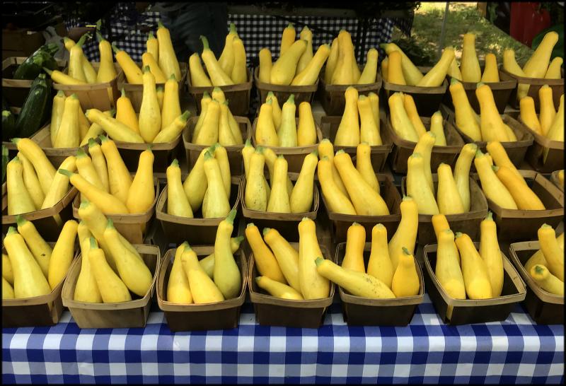 Fresh summer squash from Evans Farms. JACK CLEMONS PHOTO